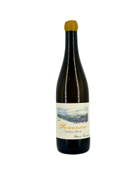 Savennieres Blanc "Clos De La Hutte" 2021 | Wine from Domaine Boudignon Thibaud