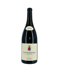 Magnum Clos De Vougeot Rouge Grand Cru 2021 | Wine from Domaine Castagnier