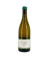 Bourgogne Blanc "Matilda" 2022 | Wine from Domaine Maxime Crotet