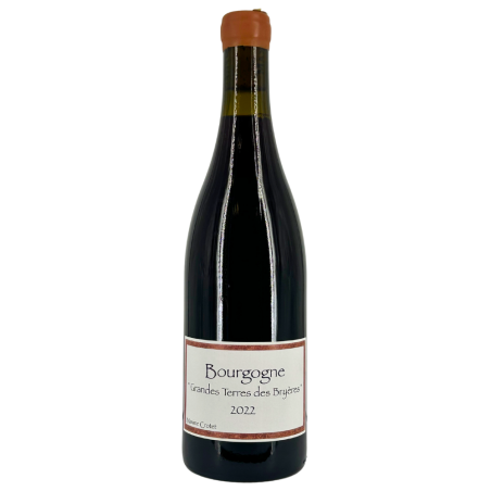 Burgundy Red "Grandes Terres Des Bryères" 2022 | Wine from Domaine Crotet Maxime