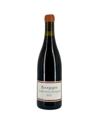 Burgundy Red "Grandes Terres Des Bryères" 2022 | Wine from Domaine Crotet Maxime