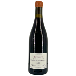 Burgundy Red "Grandes Terres Des Bryères" 2022 | Wine from Domaine Crotet Maxime