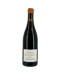 Burgundy Red "Grandes Terres Des Bryères" 2022 | Wine from Domaine Crotet Maxime