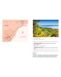 Wine Routes of Spain and Portugal - 50 Dream Itineraries (French Edition) | Ulysse