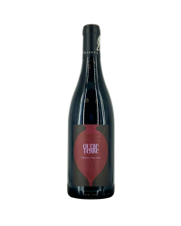 Saumur Champigny Rouge "Outre Terre" 2018 | Wine from the Domaine Thierry Germain