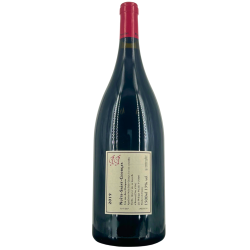 Magnum Nuits-Saint-Georges Red 1er Cru "Aux Chaignots" 2019 | Wine from Domaine Philippe Pacalet