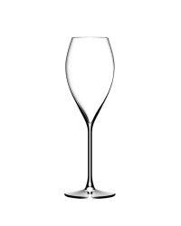 Excellence Champagne Flute - 21 cl | Lehmann