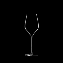 Champagne Glass "M5 – 30 cl Signature Collection A. Lallement" | Lehmann