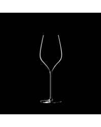 Champagne Glass "M5 – 30 cl Signature Collection A. Lallement" | Lehmann