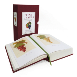 Wine Grapes (English...