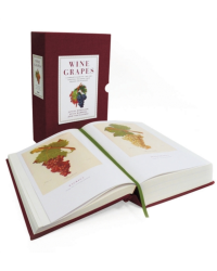 Wine Grapes (English edition): A Complete Guide to 1,368 Vine Varieties, Including Their Origins and Flavours