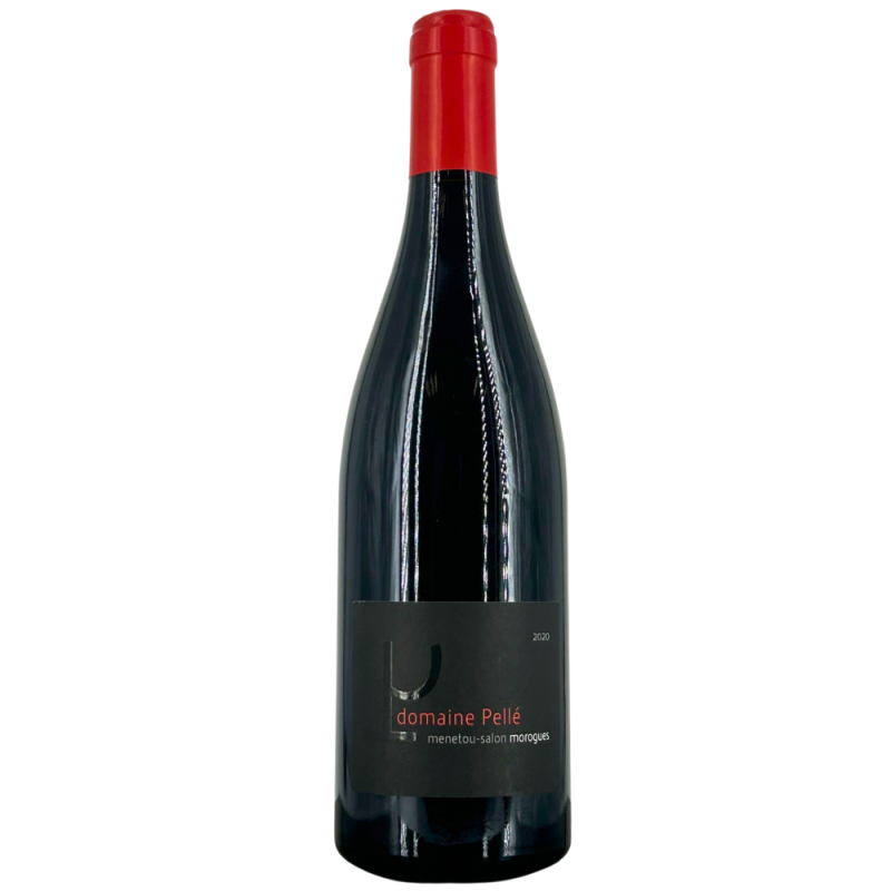 Menetou-Salon Red "Morogues" 2020 | Wine from Domaine Pellé