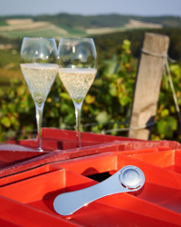 Cork Clamp: Champagne and Sparkling Wine Corkscrew | L'Atelier du Vin