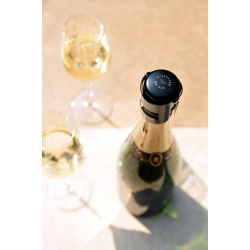 Metal Bubble Keeper Stopper: Champagne and Sparkling Wine Stopper | L'Atelier du Vin