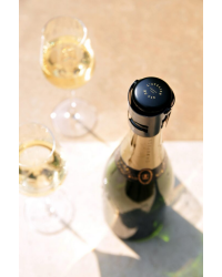 Metal Bubble Keeper Stopper: Champagne and Sparkling Wine Stopper | L'Atelier du Vin