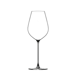 Universal Wine Glass...