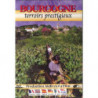 Burgundy's prestigious terroirs (DVD)