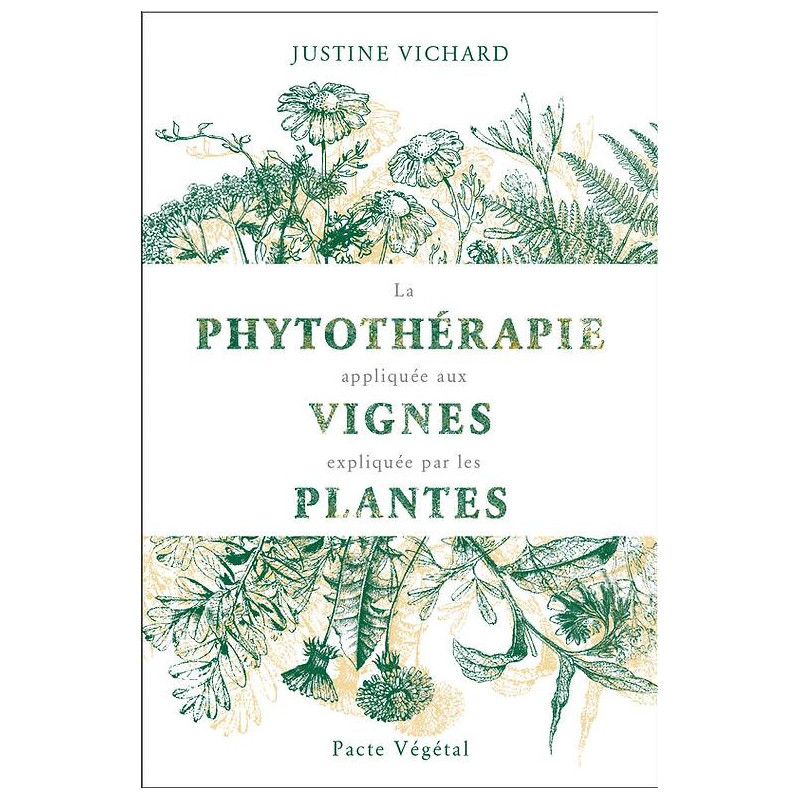 La phytothérapie appliquée aux vignes, expliquée par les plantes | Justine Vichard