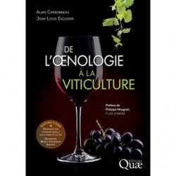 De l'oenologie à la viticulture | Jean-Louis Escudier et Alain Carbonneau |Quae