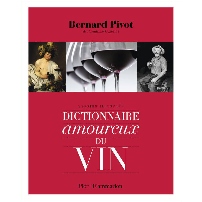 A "Dictionnaire amoureux du vin" would translate to "A Lover's Dictionary of Wine" in English.