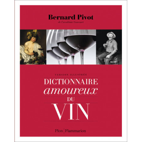 A "Dictionnaire amoureux du vin" would translate to "A Lover's Dictionary of Wine" in English.