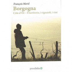 Borgogna, Côte d'Or : Il territorio, i vignaioli, i vini (Edizione in italiano) di François Morel