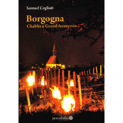 Borgogna : Chablis e Grand Auxerrois |Samuel Gogliati