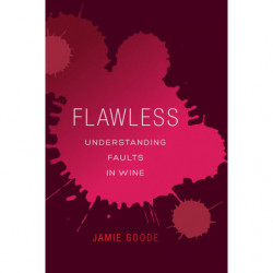 Flawless: Understanding...
