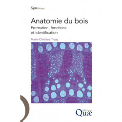 Anatomie du bois :...