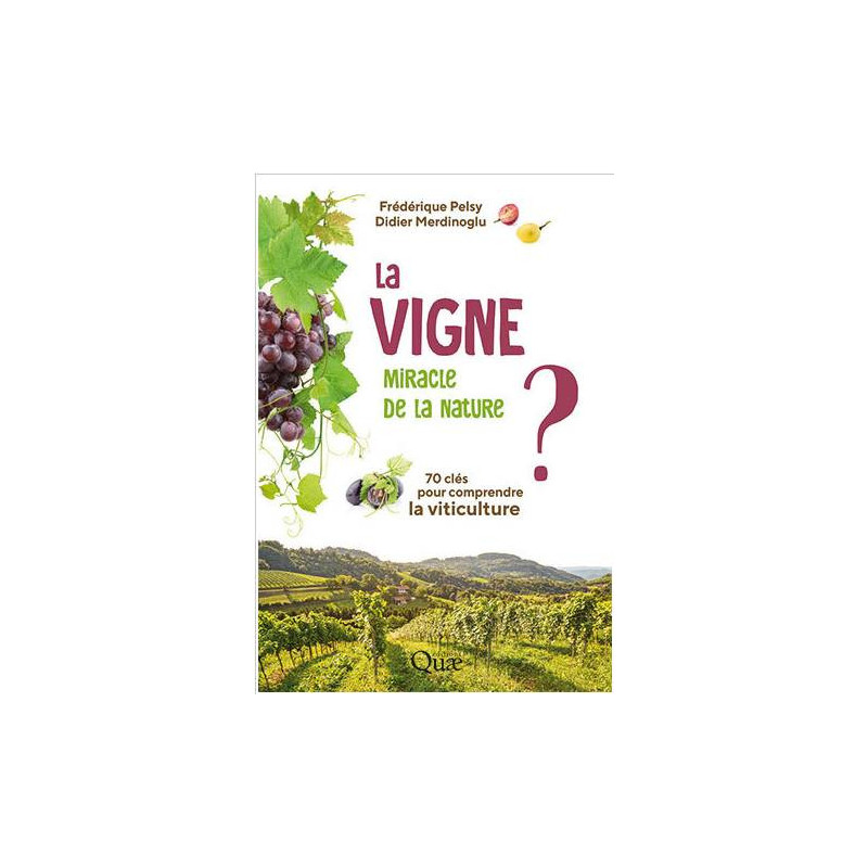 La vigne, miracle de la nature ? : 70 clés pour comprendre la viticulture | Didier Merdinoglu, Frédérique Pelsy