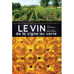 Wine from the vine to the glass | Henri Faivre