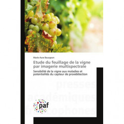 Etude du feuillage de la vigne par imagerie multispectrale | Marue-Aure Bourgeon
