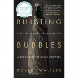 Bursting Bubbles | Robert Walters