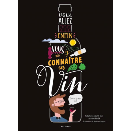 Vous allez enfin vous y connaître en vin (French edition) by Sébastien Durand-Viel & David Cobbold | Larousse