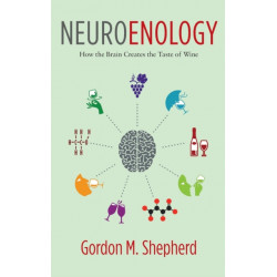Neuroenology, How the Brain...