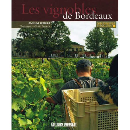 The Vineyards of Bordeaux | Antoine Lebegue