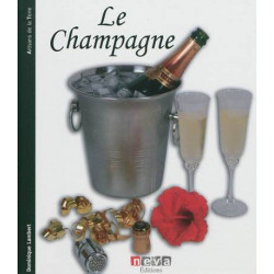 Champagne / du travail des ceps au plaisir des bulles | Dominique Lambert