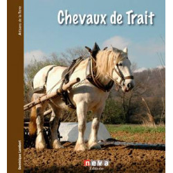 Chevaux de trait : le passé...