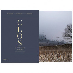 Clos, a vineyard heritage: inside the intimacy of 27 enclosed vineyards | Benjamin Darreau