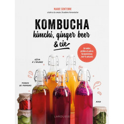 Kombucha, kimchi, ginger beer & Co.