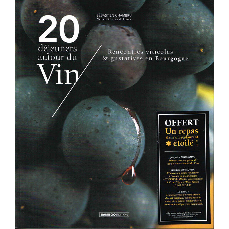 20 déjeuners autour du vin : rencontres viticoles & gustatives en Bourgogne by Sébastien Chambru (French Edition)