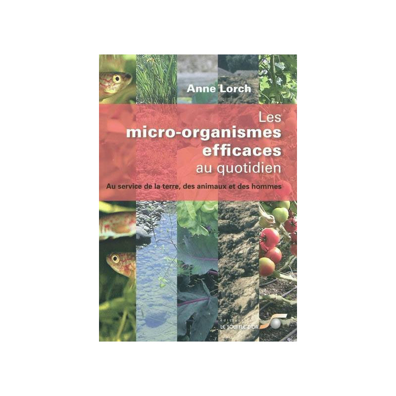 Les micro-organismes efficaces au quotidien | Anne Lorch