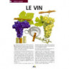 Le Vin | Florence Kennel