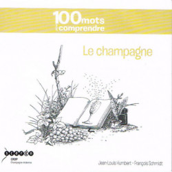 100 mots pour comprendre le Champagne | Jean-Louis Humbert, François Schmidt