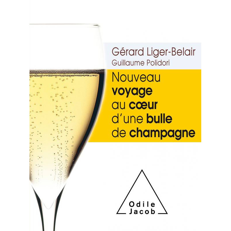 New Journey to the Heart of a Champagne Bubble (French Edition) by Gérard Liger-Belair, Guillaume Polidori