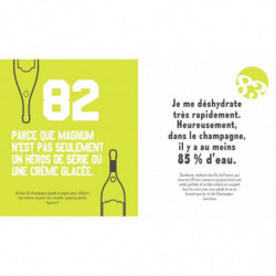 99 + 1 good reasons to drink champagne | Isabelle Bachelard