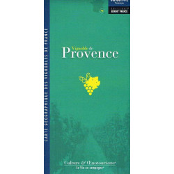 Folded map "Vignoble de Provence" 77x44 cm | Benoît France