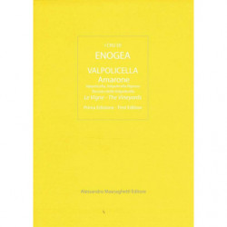 Carte du vignoble "Valpolicella et Amarone" 59x84 cm | Enogea