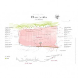 Plot map of the appellation "Chambertin, grand cru" 80x60 cm | Laurent Gotti