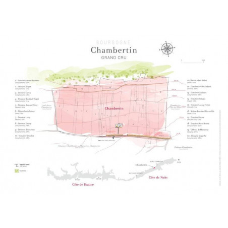 Plot map of the appellation "Chambertin, grand cru" 80x60 cm | Laurent Gotti